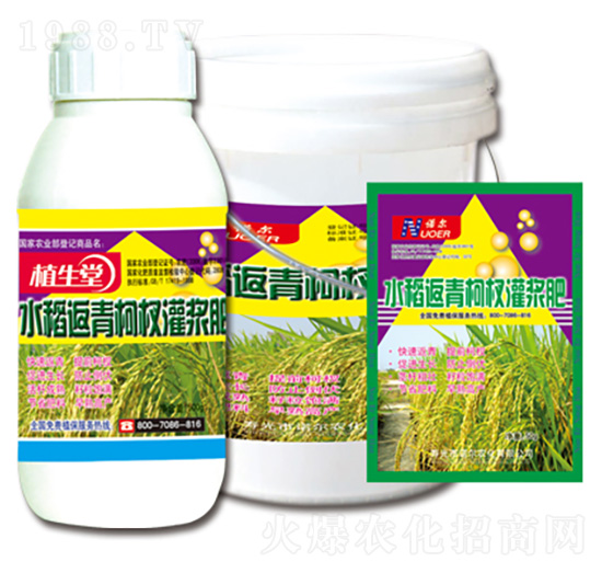 ˮ��������{�� ֲ���� �R������