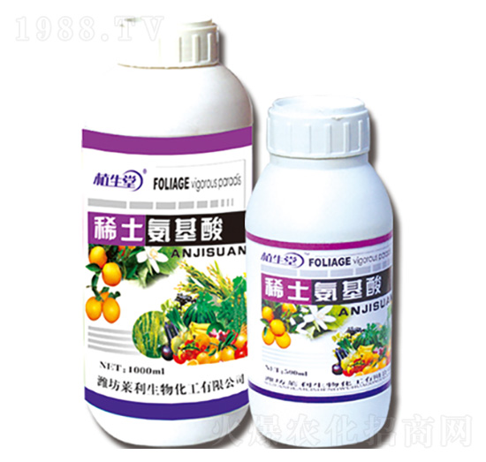 ϡ�������� �R������