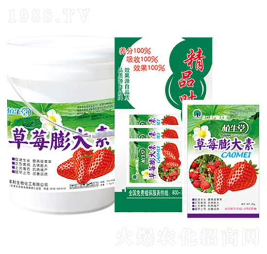 ��ݮ����� ֲ���� �R������