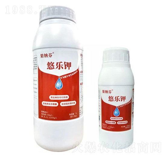 ���{���Ƙ�(l��)� �S������