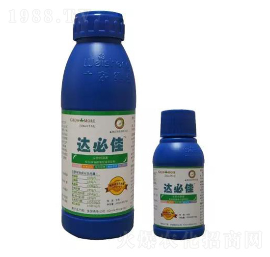 �_(d��)�ؼ� �S������