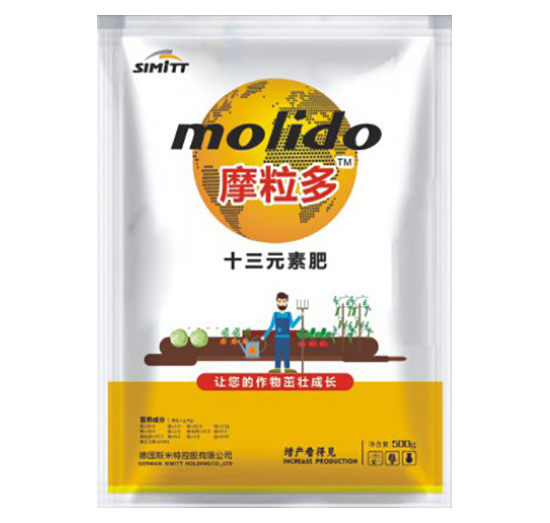 ʮ��Ԫ�� Ħ���� ˹����