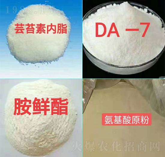 ֲ���{��(ji��)���ײ�-��ɽ����