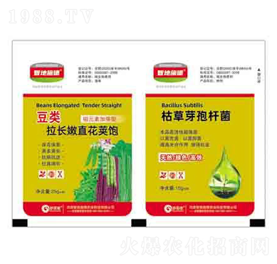 �����ֱ���v�+�ݲ�ѿ�ߗU�� ����