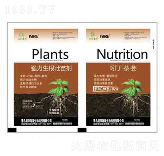 ��(qi��ng)���������焩+�Ŷ��������| ��(r��n)��