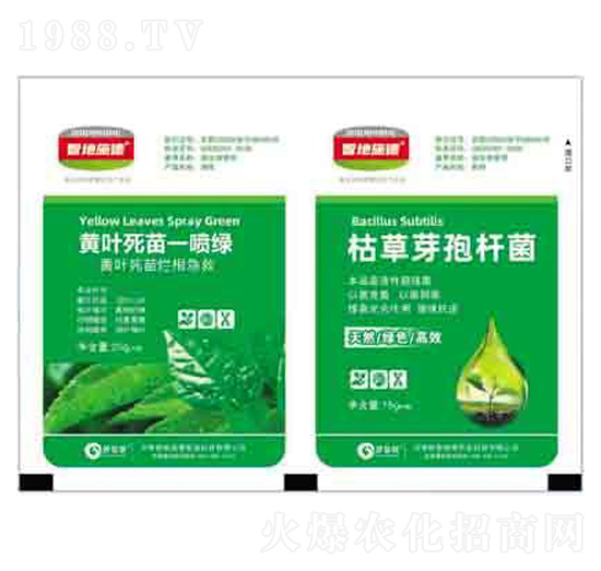 �S�~����һ���G+�ݲ�ѿ�ߗU�� ����