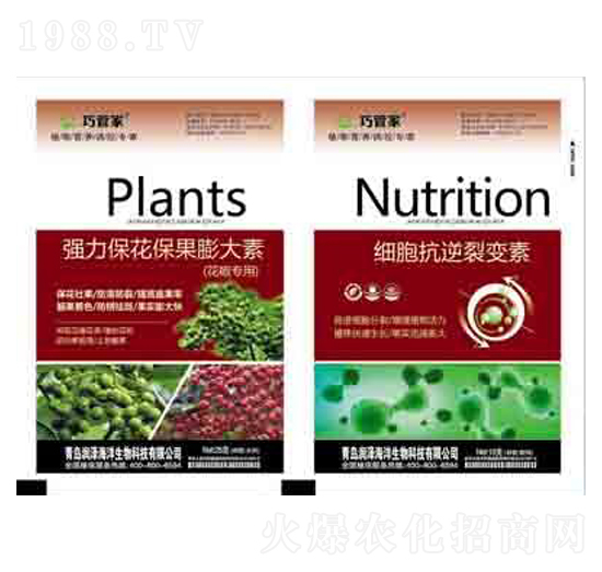 ��(qi��ng)���������������+��(x��)��������׃�� ��(r��n)��