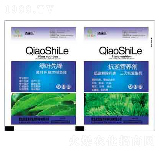 �G�~���h+����I(y��ng)�B(y��ng)�� ��(r��n)��