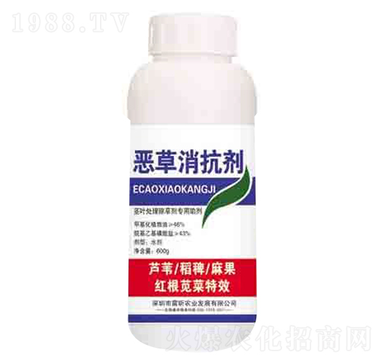 ����������  ����