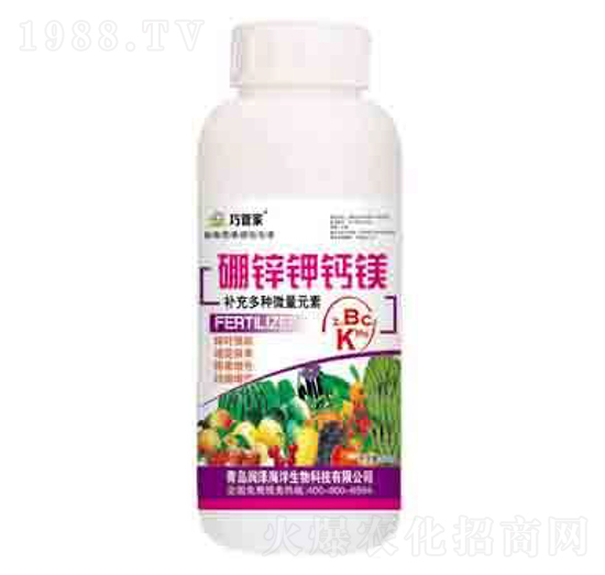 ���\��}�V �ɹܼ� ����