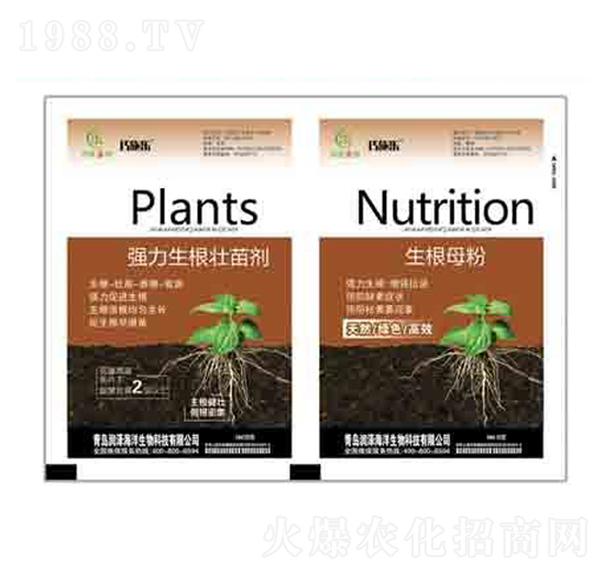 ��(qi��ng)���������焩+����ĸ�� ����