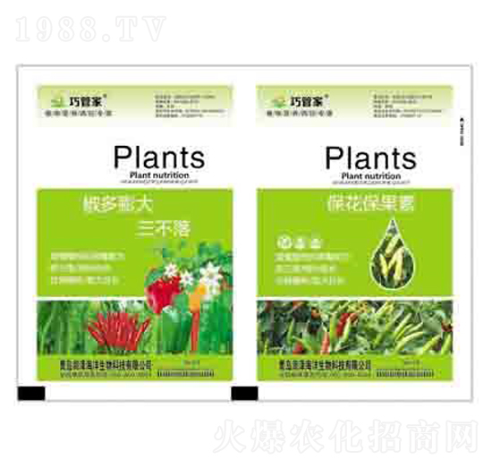 �������������+���������� ����