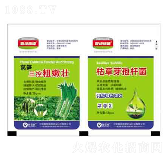 萵筍三控粗嫩壯+枯草芽孢桿菌 潤澤