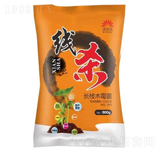 �L(zh��ng)֦ľù��-����-�֠���