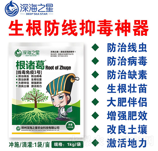 ��������1̖(h��o)-���T��-�֮��