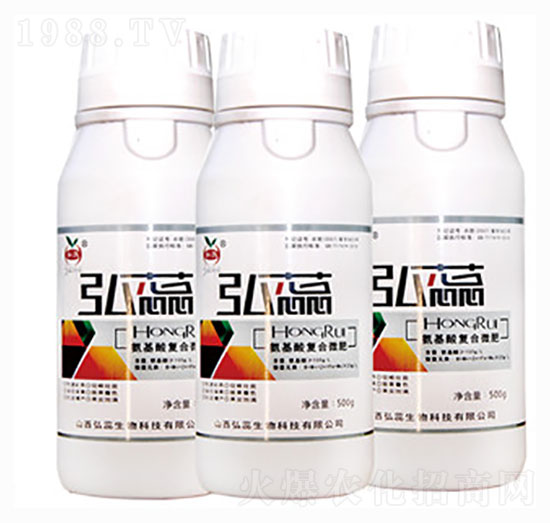 ������ͺ�΢��-����