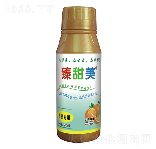 ���ٌ��� ������ ʢ����