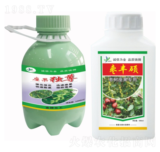 棗樹座果專用 座果獨尊 棗豐碩 金牌化工