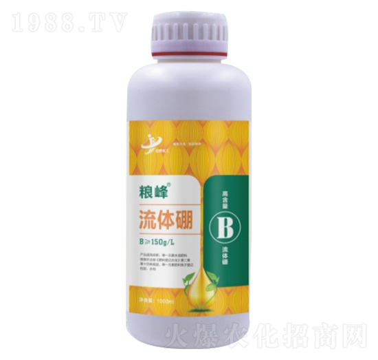 ���w�� �Z�� ���ƻ���