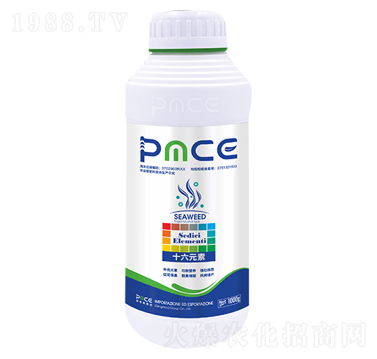 ʮ��Ԫ������˹