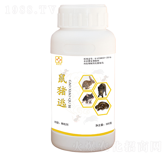 ���i�� ������