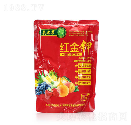 �M�ڼ��t� �t��� Ӣ����