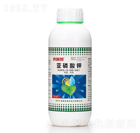 �������0-525-340 �u̼�� ǧ��ֲ��