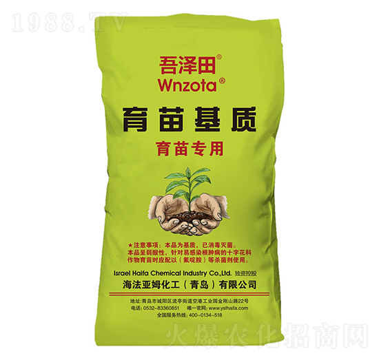 ������| �����