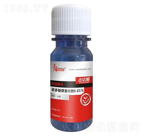 �����E�R����-ռӛ��-�s��ֲ��