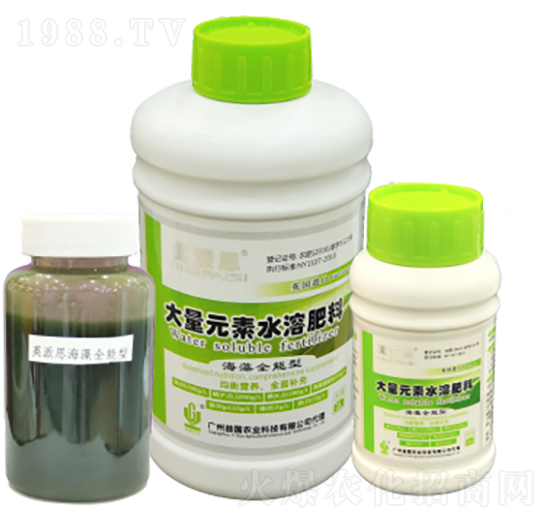 Ӣ��˼�������� ���(gu��)�r(n��ng)�I(y��)