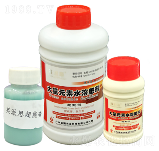 Ӣ��˼������� ����r�I(y��)