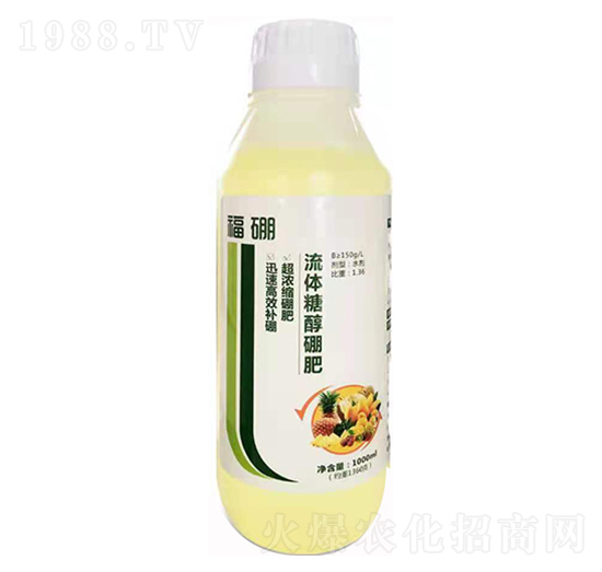 ���w�Ǵ���� ���� ��������