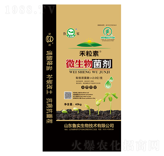 ΢������� ������ ����