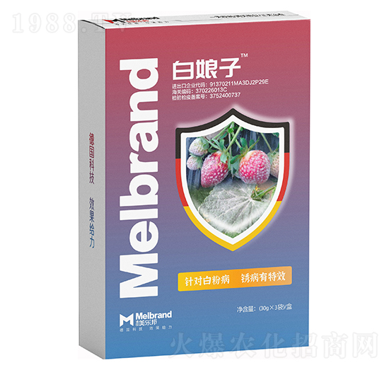 �׷۲����P����Ч ������ ������