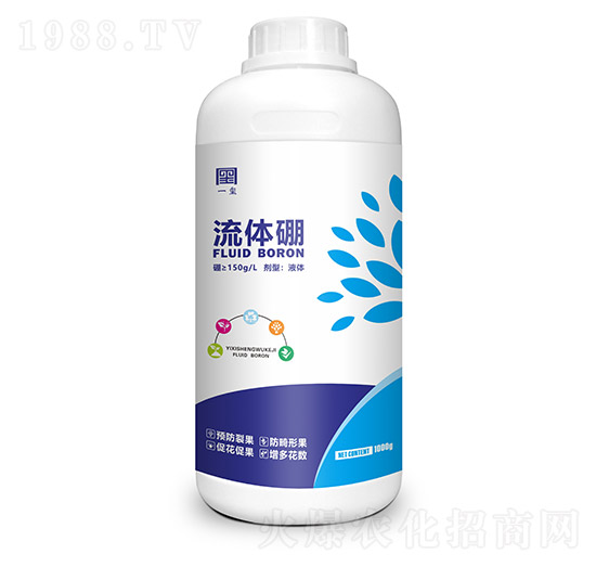 ���w�� һ�t����