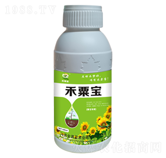 ������(zhu��n)�÷� ���ڌ� ��Mӯ�r(n��ng)�I(y��)