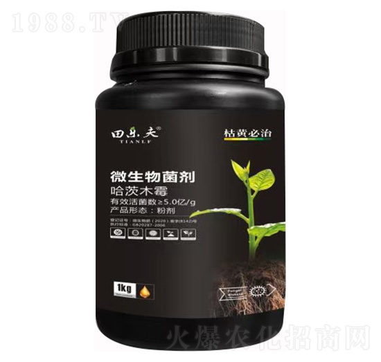 ΢������� ��� ��ʢ����