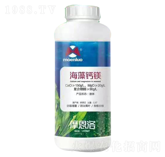 �����}�V Ħ����