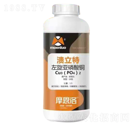 �����������~ ������ Ħ����