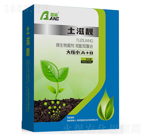 �����n ����