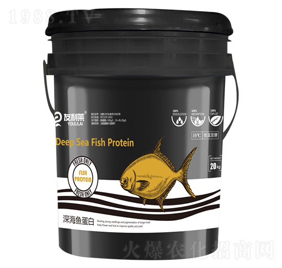 ��~(y��)���� �����R