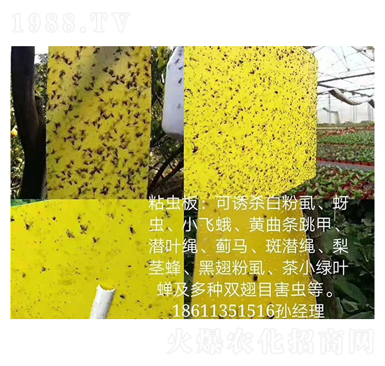 ճ�x(ch��ng)�� ���r(n��ng)����