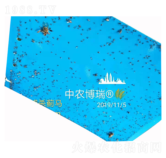 ��(zhu��n)�T(m��n)�����E�R ���r(n��ng)����