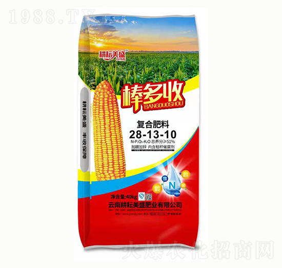 ��(f��)�Ϸ���28-13-10 ������ ������ʢ