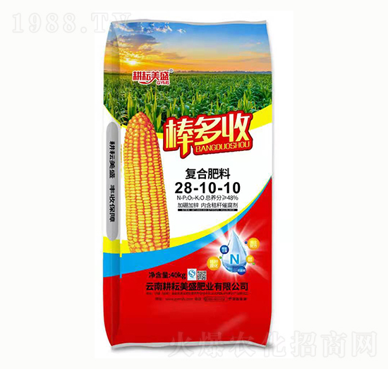 ��(f��)�Ϸ���28-10-10 ������ ������ʢ