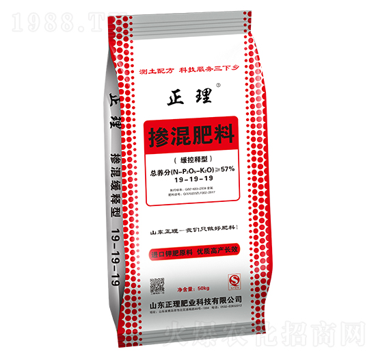 ������͓������19-19-19 �����ʘI(y��)