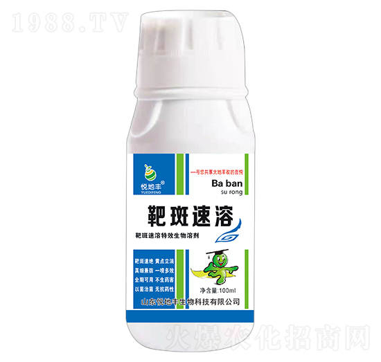 �а����� �����S