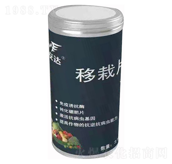 ����Ƭ �~���_