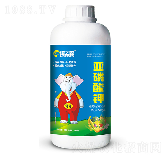 ������� �Z֮ɭ