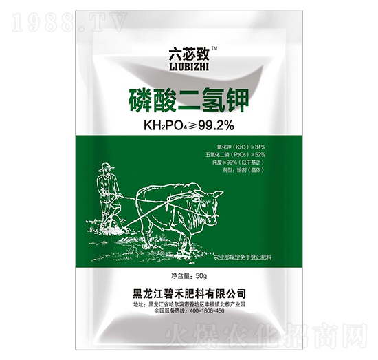 ̼������ ��ƃ�� �̷̺���